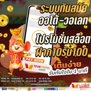 โปรโมชั่น 10 รับ 100 wallet