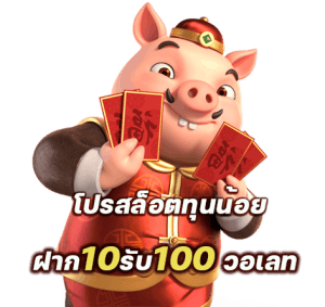 10รับ100สมาชิกใหม่ wallet