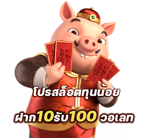 10รับ100สมาชิกใหม่ wallet