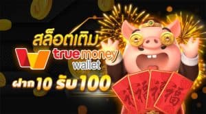 slot 10รับ100 วอเลทเว็บตรง