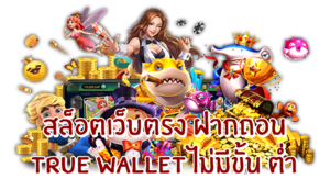 เว็บ สล็อตฝาก true wallet